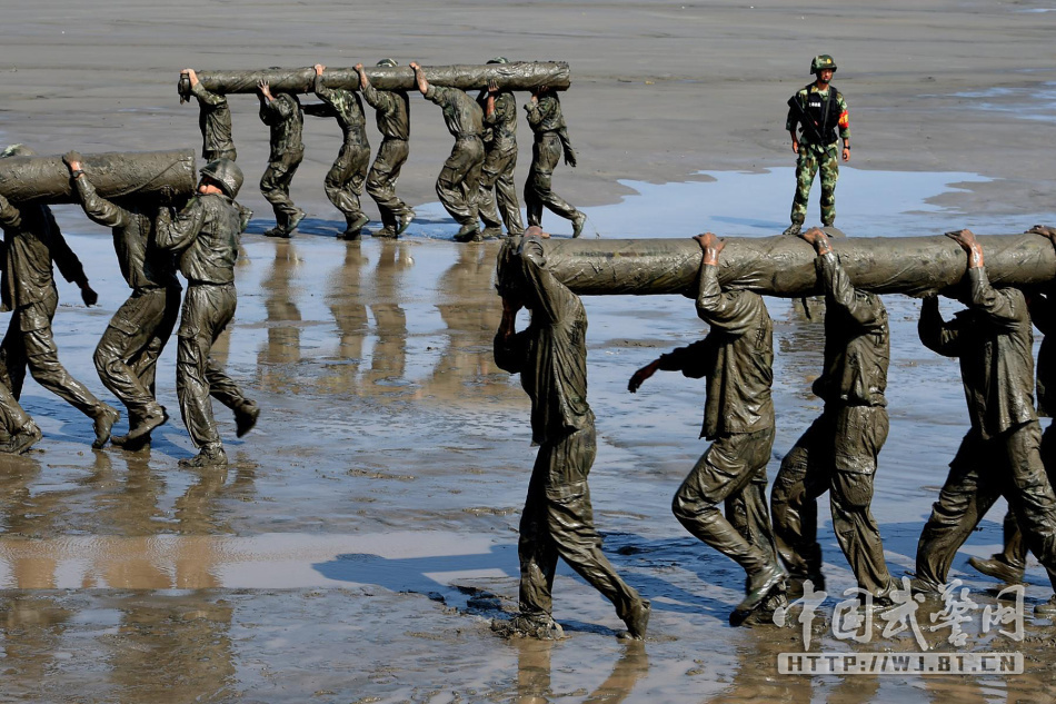 推荐六个可以在线学习的少儿编程网站，需要的可以收藏 