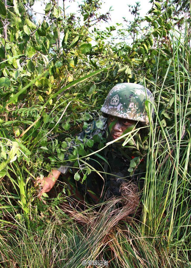 小番茄怎么种能获高产？这些定植、管理技术，值得了解 