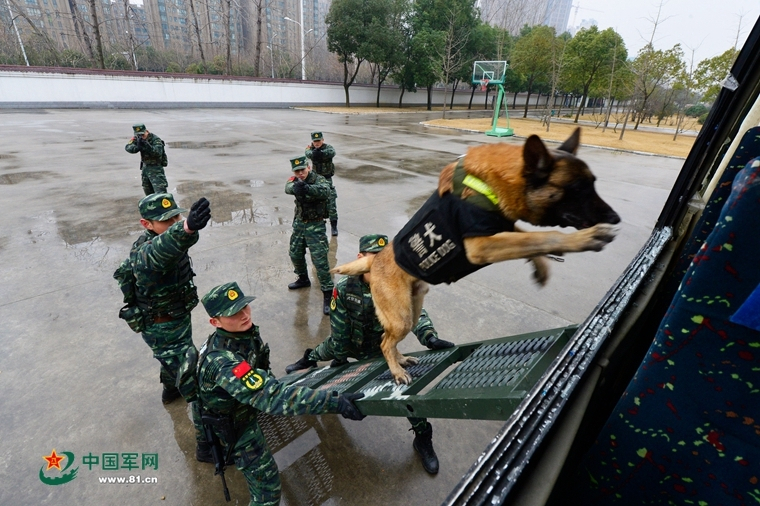 好剧不断，新剧上新！总台央视频《光影临汾·中国精品微短剧之夜》隆重举行  